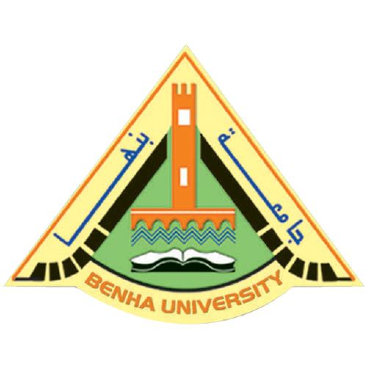 Benha University Achieves Major Success in Eradicating Illiteracy